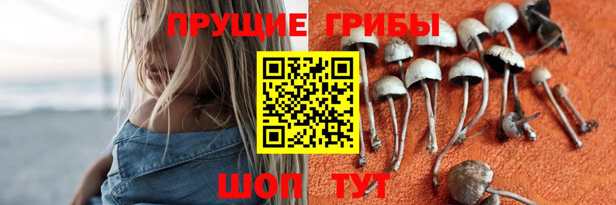 Галлюциногенные грибы Cubensis Феодосия